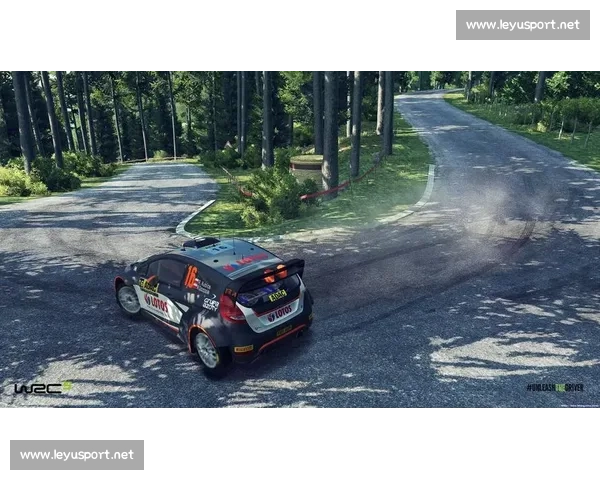 WRC赛道地图藏玄机，细微之处定胜负！