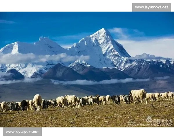 那些年,我们在不同的地方,为同一个梦想呐喊!